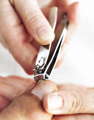 Illustration for article titled Images You Should Not Masturbate To